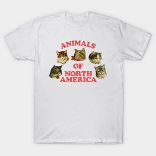 Cute Kitties / 80s Style Thrift Design T-Shirt